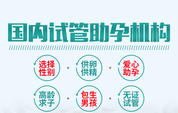 上海代孕-上海代孕机构/上海代孕价格/上海辅助生殖/上海代孕多少钱/上海借腹生子/上海同性代孕/上海代孕生子/上海ivf